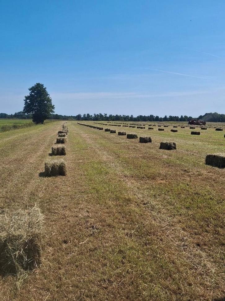 KLEINE HOOI PAKJES, Dieren en Toebehoren, Dierenvoeding, Vee, Ophalen