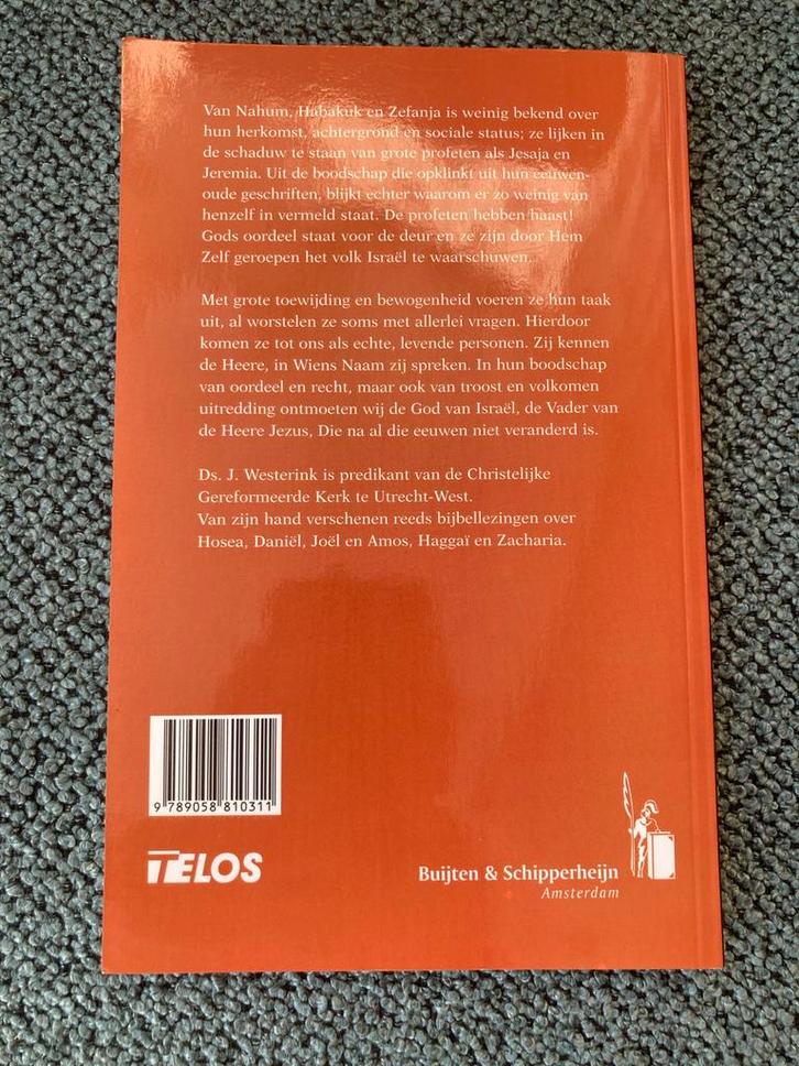 Bijbellezingen over kleine profeten, Boeken, Godsdienst en Theologie, Zo goed als nieuw, Christendom | Protestants, Ophalen of Verzenden
