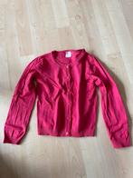 Vest maat 110/116, Gebruikt, Meisje, Trui of Vest, Ophalen of Verzenden