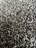 Trendmills Wollen vloerkleed grijs, Ophalen, 200 cm of meer, Zo goed als nieuw, Grijs