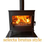 houtkachel selecta brutus, Ophalen, SELECTA, ?, Vrijstaand