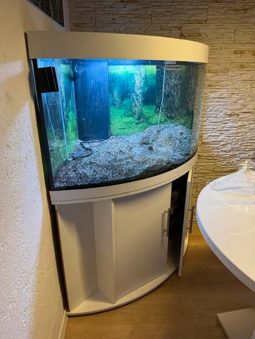 Uniek kans!  Compleet luxe aquarium Juwel TRIGON 350 LED  beschikbaar voor biedingen