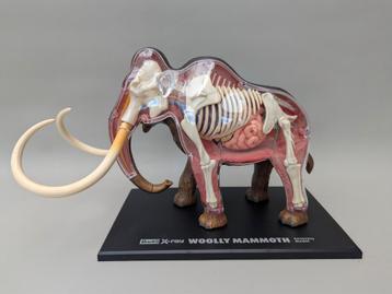 4D Master (Revell), anatomisch model Mammoet  beschikbaar voor biedingen