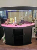 Super mooi Juwel Vision aquarium 260 liter, Dieren en Toebehoren, Vissen | Aquaria en Toebehoren, Ophalen, Zo goed als nieuw, Leeg aquarium
