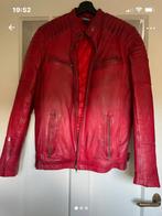 Rode leren jas, Kleding | Heren, Ophalen of Verzenden, Zo goed als nieuw, Maat 48/50 (M), Rood