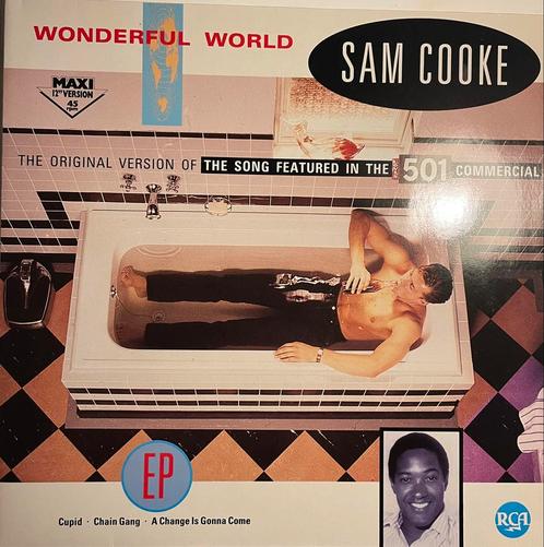 LP / Vinyl van Sam Cooke - Wonderful World, Cd's en Dvd's, Vinyl | Pop, Zo goed als nieuw, 1960 tot 1980, Ophalen of Verzenden