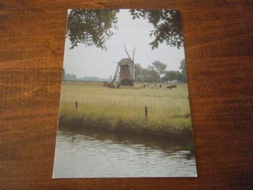 D30 - Voorschoten - Molen - Mooi beschikbaar voor biedingen