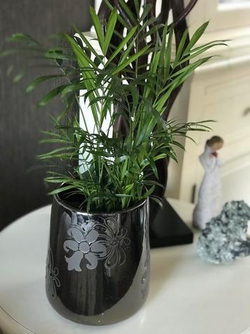 Plantpot kamerplanten 2 maten 4st. beschikbaar voor biedingen