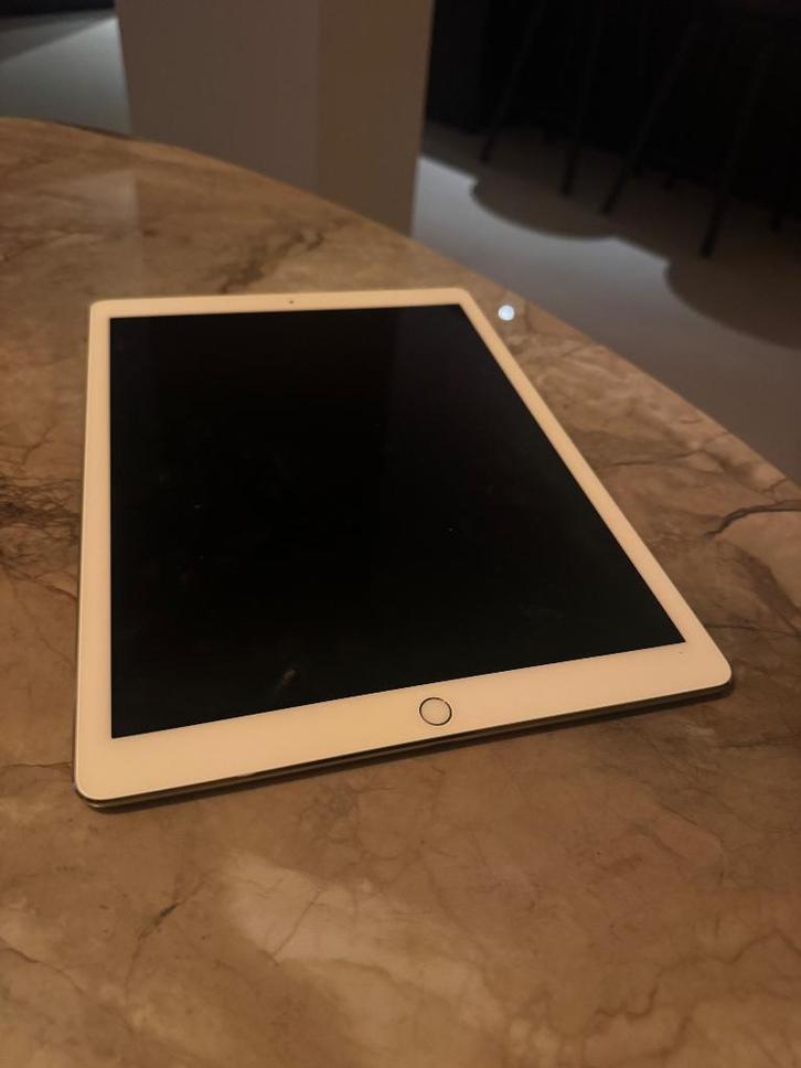 iPad Pro, Computers en Software, Apple iPads, Gebruikt, Apple iPad, Wi-Fi en Mobiel internet, 12 inch, 128 GB, Grijs, Ophalen of Verzenden
