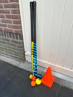 2 hockeysticks ballen en pionnen, Sport en Fitness, Hockey, Bal, Gebruikt, Ophalen of Verzenden