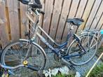Giant Blazer Damesfiets met versnellingen, Ophalen, Versnellingen, Giant, 53 tot 56 cm