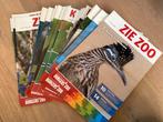 Zie Zoo Burgers zoo boekjes plus posters 2023 Tm 2025, Ophalen of Verzenden, Zo goed als nieuw