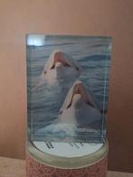 Glazenfoto-beeld dolfijnen, Ophalen of Verzenden, Zo goed als nieuw, Dier