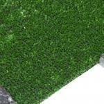 Sprietgras – Beurstapijt, Tuin en Terras, Gras en Kunstgras, Nieuw, 20 m² of meer, Ophalen of Verzenden