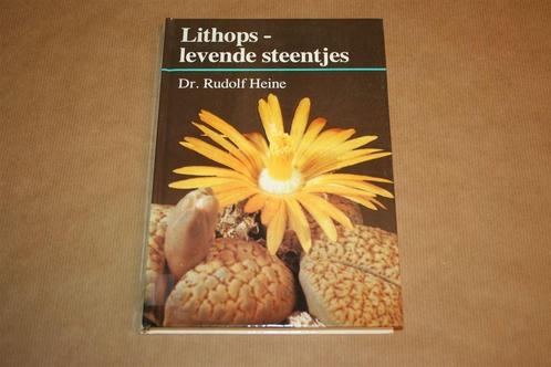 Lithops - Levende steentjes, Boeken, Natuur, Zo goed als nieuw, Vogels, Ophalen of Verzenden