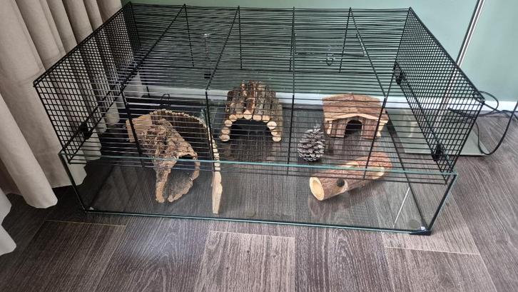 Mooie Hamsterkooi met vele accessoires!, Dieren en Toebehoren, Knaagdieren en Konijnen | Hokken en Kooien, Gebruikt, Kooi, Minder dan 60 cm