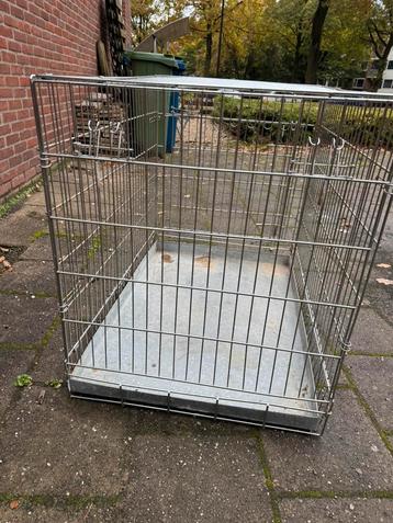 Honden bens beschikbaar voor biedingen