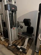Panatta Xpression Lower Back Extension, Ophalen, Gebruikt, Rug, Krachtstation