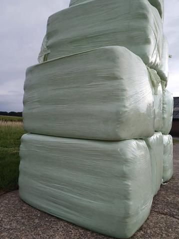 hooi grote balen beschikbaar voor biedingen