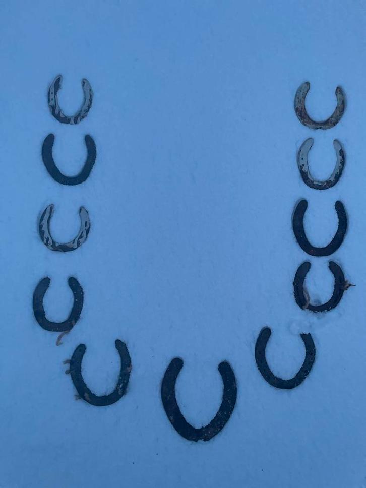 12 HOEFIJZERS, Tuin en Terras, Tuinwanddecoratie, Gebruikt, Ophalen