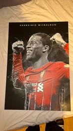 Wijnaldum displate, Ophalen of Verzenden, Zo goed als nieuw