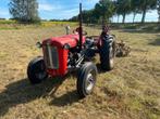 Massey Ferguson 35 3 cilinder met kenteken, Ophalen of Verzenden, Tot 80 Pk, Massey Ferguson, Tot 2500