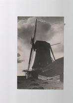 Zaandam Molen de Grauwe Hengst Fotobriefkaart Nieuwstad, Verzenden, 1920 tot 1940, Ongelopen, Noord-Holland