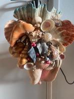 Unieke schelp lamp, Ophalen