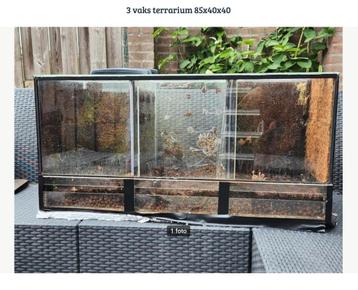 Terrarium 85x40x40 3 vaks €35 beschikbaar voor biedingen