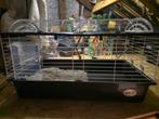 Konijnenkooi ferplast bijna nieuw !!!, Dieren en Toebehoren, Knaagdieren en Konijnen | Hokken en Kooien, Minder dan 60 cm, Kooi