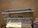 Gerbillarium/ glazen hamsterkooi 100x40x50, Dieren en Toebehoren, Knaagdieren en Konijnen | Hokken en Kooien, Ophalen, Zo goed als nieuw