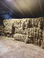 Hooi 2025, Ophalen of Verzenden, Vee