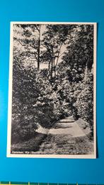 Rijs Kattelaan Gaasterland, Ophalen of Verzenden, 1940 tot 1960, Ongelopen, Friesland