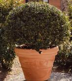 zeer grote bloempotten met of zonder Portugese Laurier, Steen, Minder dan 60 cm, Rond, Nieuw