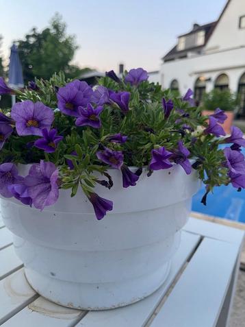 NIEUWE ronde bloempot plantenbak S Fiberstone Jan De Bouvrie beschikbaar voor biedingen