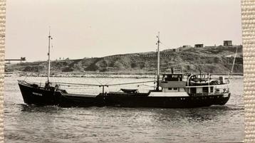 MUSKETIER  1939 ex LENA  ex JOHN-V beschikbaar voor biedingen
