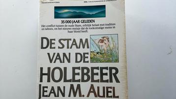 Auel - 1 stam van de holebeer beschikbaar voor biedingen