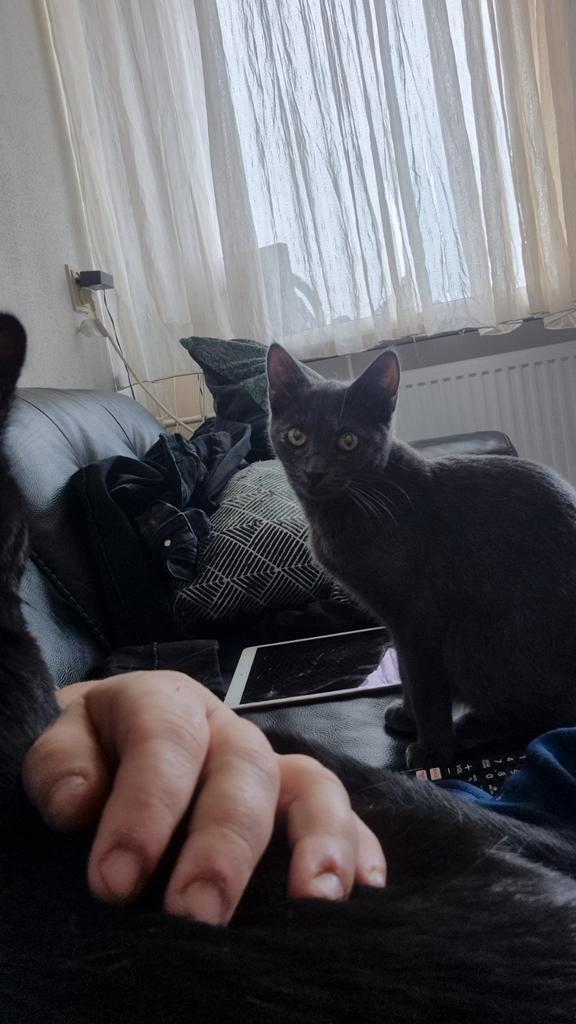 Op pas gezocht, Dieren en Toebehoren, Dierenvoeding, Ophalen