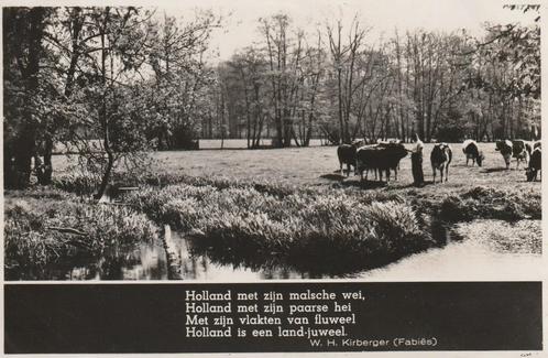 HOLLAND Wei met Koeien en Gedicht, Verzamelen, Ansichtkaarten | Nederland, Ongelopen, Zuid-Holland, 1940 tot 1960, Verzenden