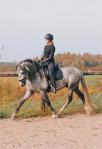 Zadelmak maken/doorrijden/paarden massage/bitless training