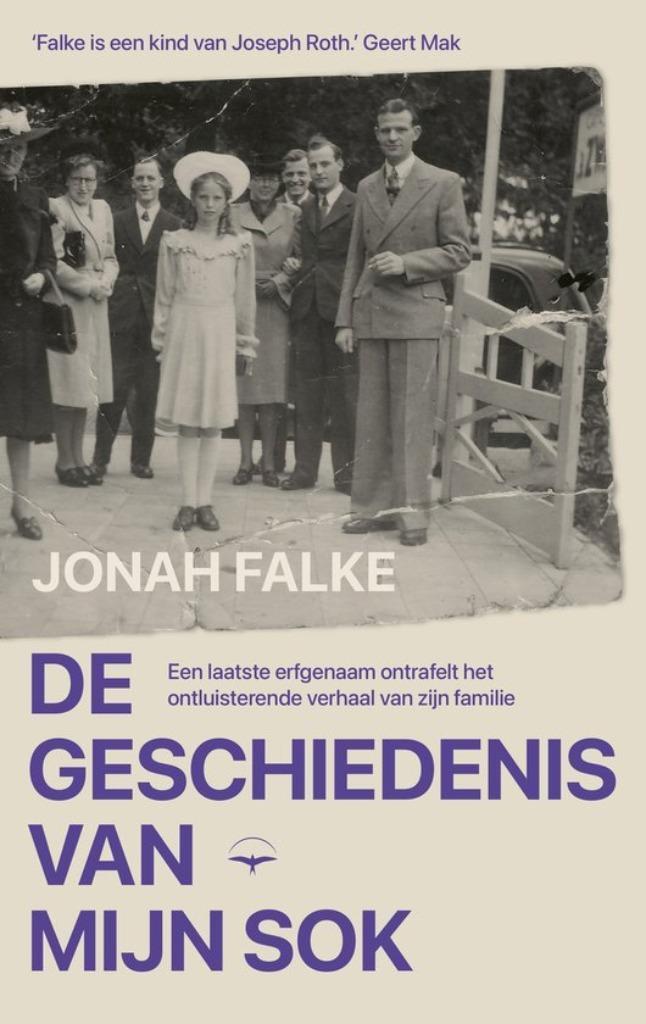 Jonah Falke - De geschiedenis van mijn sok, Boeken, Romans, Zo goed als nieuw, Ophalen of Verzenden