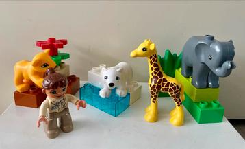 Duplo 4962 baby dierentuin beschikbaar voor biedingen