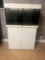 Aquarium juwel rio 125, Dieren en Toebehoren, Vissen | Aquaria en Toebehoren, Ophalen, Gebruikt, Gevuld zoetwateraquarium