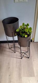 Bloempotten op standaard, Ophalen of Verzenden, Gebruikt