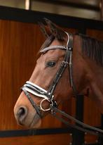 Harry's horse chic trens hoofdstel full, Dieren en Toebehoren, Paarden en Pony's | Hoofdstellen en Tuigage, Ophalen of Verzenden
