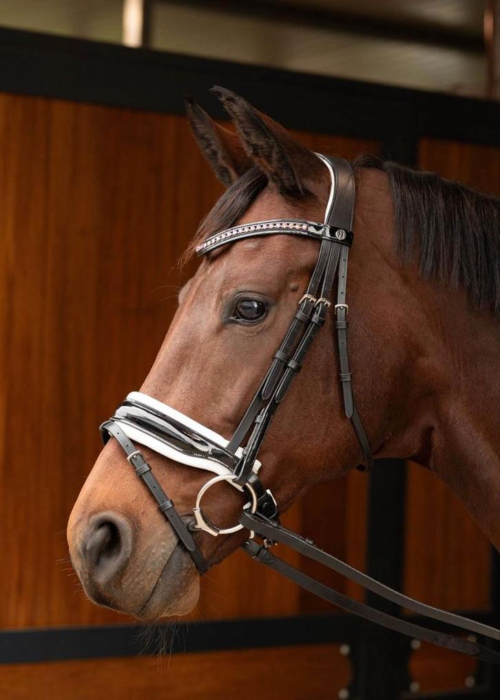 Harry's horse chic trens hoofdstel full, Dieren en Toebehoren, Paarden en Pony's | Hoofdstellen en Tuigage, Zo goed als nieuw