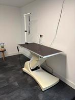 Electrische verstelbare hondentrimtafel, Dieren en Toebehoren, Honden-accessoires, Ophalen, Zo goed als nieuw