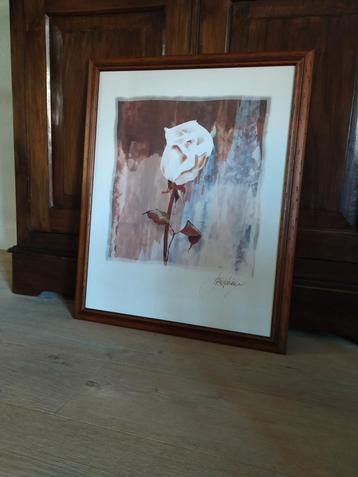 Schilderij met roos in massief houten lijst beschikbaar voor biedingen