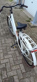 POINTER DAMESFIETS 3 VERSNELLINGEN, Gebruikt, Versnellingen, 50 tot 53 cm, Ophalen