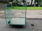 Kweekbak, Leeg aquarium 50x55 en 56 hoog  dik glas 10 mm., Dieren en Toebehoren, Vissen | Aquaria en Toebehoren, Ophalen, Zo goed als nieuw